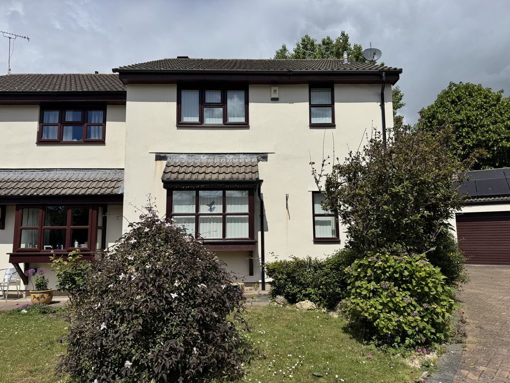 Main Image